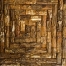 1-JF-CC08110 _bark_maize